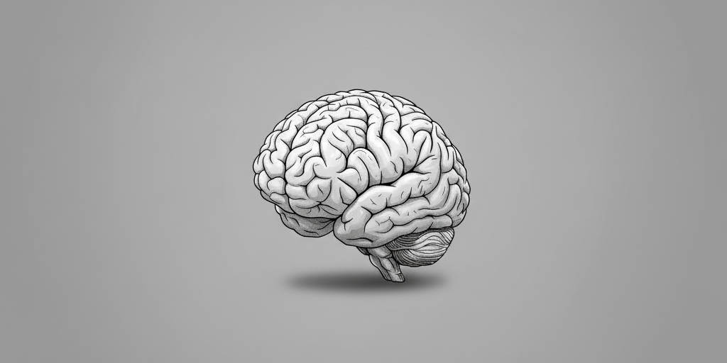 Minimalist grayscale illustration of a human brain showing cerebral cortex and cerebellum